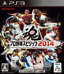 Professional Baseball Spirits 2014 [Japanese Import]